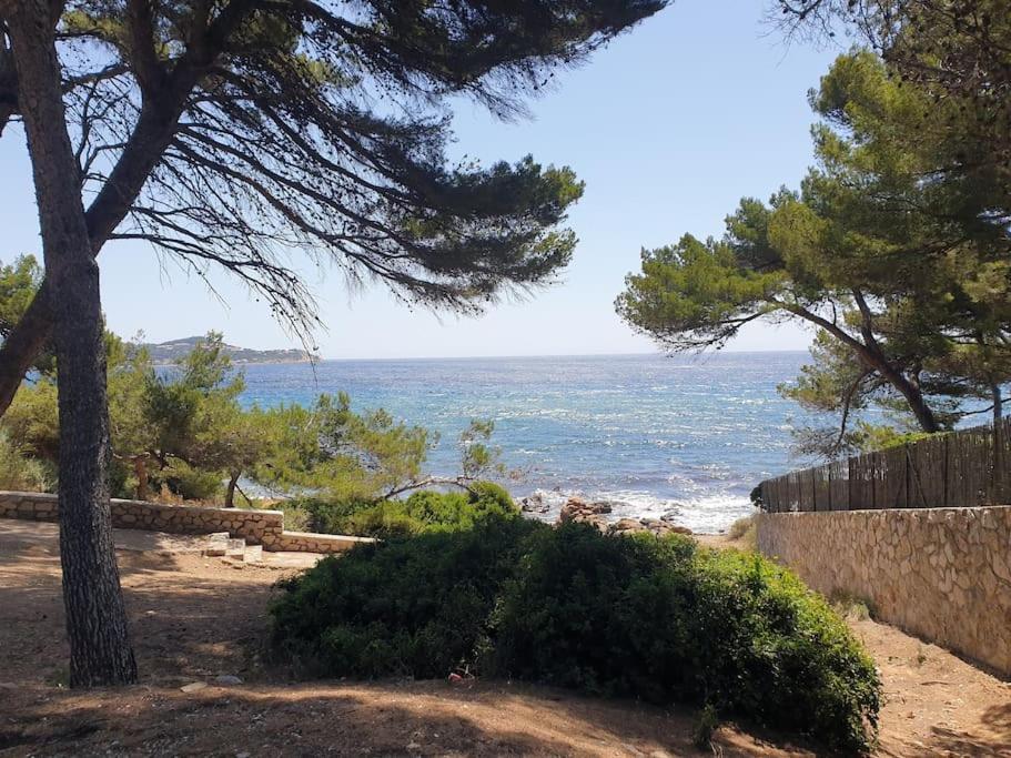 Les Geraniums, Bel Appartement Renove, Proche Plage Et Commerces ラ・セーヌ・シュル・メール エクステリア 写真