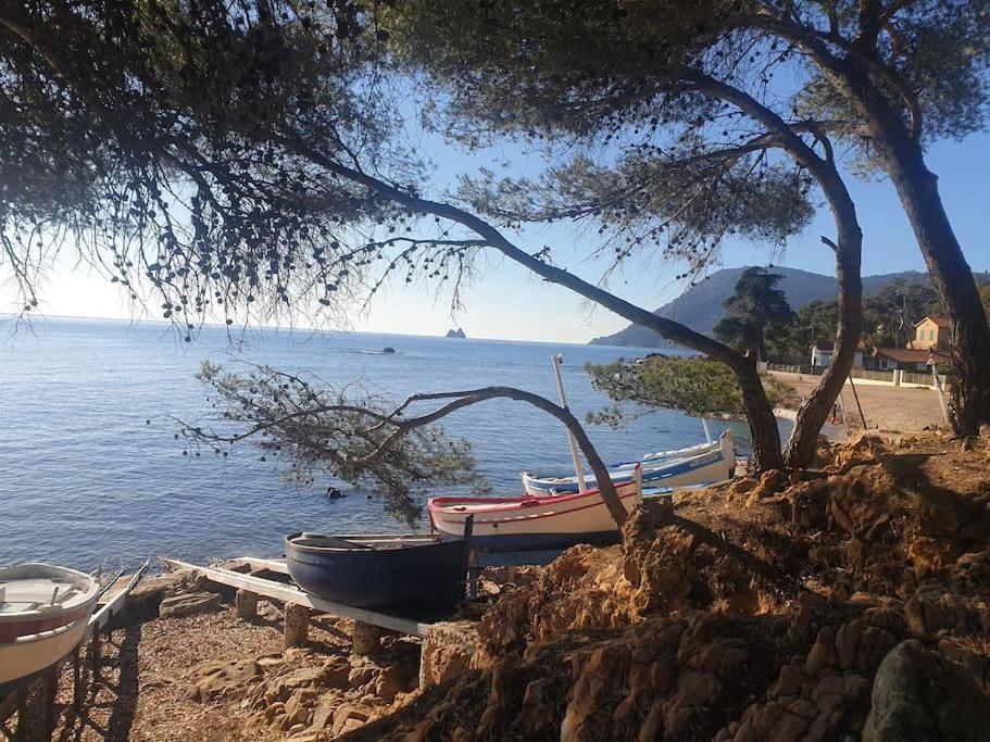 Les Geraniums, Bel Appartement Renove, Proche Plage Et Commerces ラ・セーヌ・シュル・メール エクステリア 写真